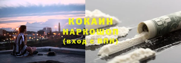 кокс Алексин