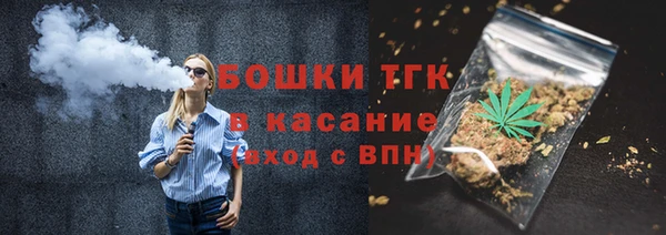 твердый Пересвет
