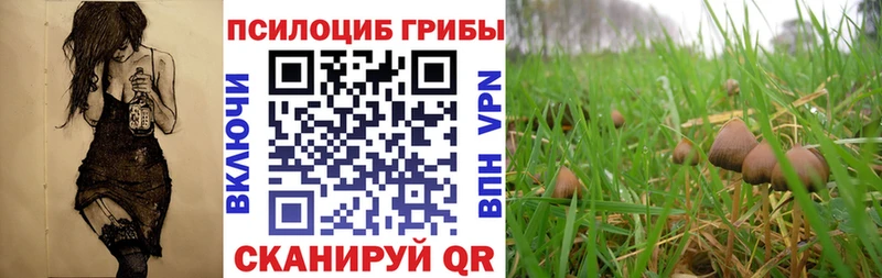 купить закладку  Красноярск  Псилоцибиновые грибы мухоморы 