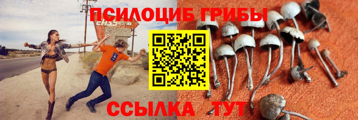 Галлюциногенные грибы мицелий  Псилоцибиновые грибы Cubensis  Красноярск  Вход с VPN 
