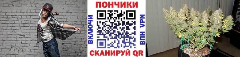 Марихуана Bruce Banner  Красноярск 